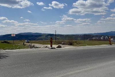 Teren de 10000 mp, în Valea Mare - 3