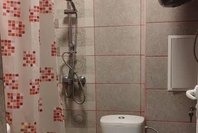 Apartament de inchiriat cu o camera zona Tractorul - 3