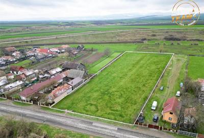 FILM!Potential rezidential investitional: 8.000 mp intravil - 5