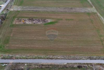 Teren agricol intravilan de 6400 mp, în Miniș - 3