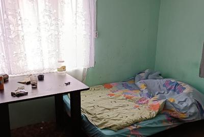 Spatiu Comercial cu spatiu de locuit si teren central - 4