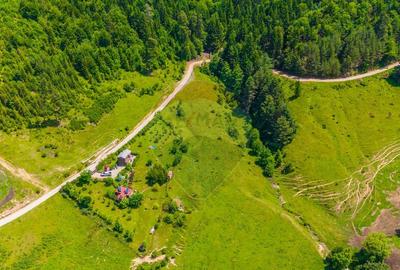 Teren Tarlungeni / Padure / Rau / Liniste / view / 7400mp - 25