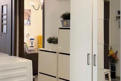 Apartament cu 2 camere, mobilat în Nerva Traian - 11