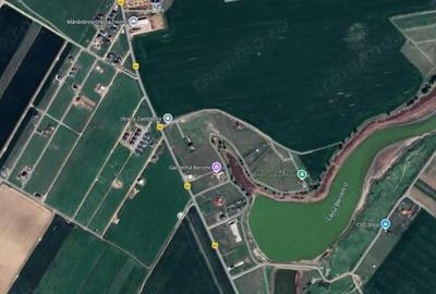 Teren Intravilan Rate Berceni Manastire | curent gaz la sosea | #LG5E - 3