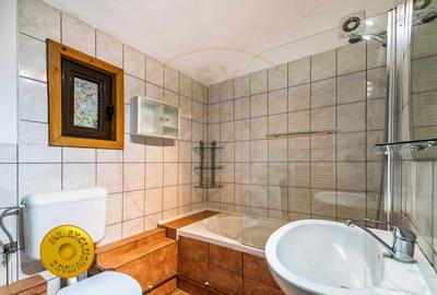 Doua case in aceeasi curte Pitesti, Strada Turcesti - 4