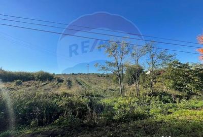 Teren de 2341 mp, în Uileacu de Munte - 8