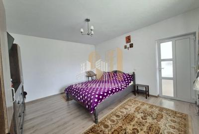 Casa individuala  Ileni Fagaras Brasov - 11