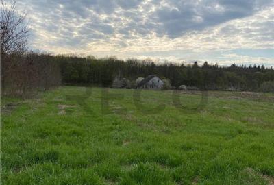 RECO Casa cu teren in Alparea 13km de Oradea - 7