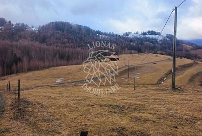 Teren de 8335 mp, în Săcuieu - 13
