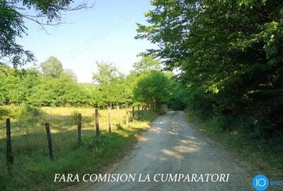 TEREN 6700 MP, INTRAVILAN LANGA PADURE - 17