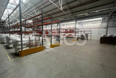Hala industriala 12000 mp si birouri 374 mp de inchiriat - 5