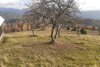 Casă cu 2 camere în Horea - 10