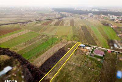 Teren de 1600 mp, în Sânmartin - 9