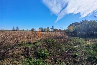 Teren intravilan 2500mp de vanzare in Zoresti, Buzau - 6