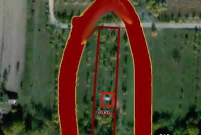 Casă cu 1 camere în Macoviște (Cornea) - 3