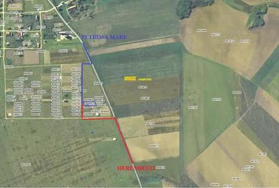 CASA NOUA la 10 km de Lugoj - 3