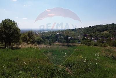 OCAZIE! Teren IEFTIN de vanzare in Baia Mare, pe Valea Borcutului - 5