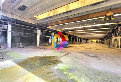 Hala - 2000 mp  # plus-imo.ro - 1