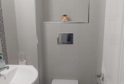 Pantelimon,Spitalul Pantelimon,parter/10,DECOMANDAT,Renovat,Liber - 3