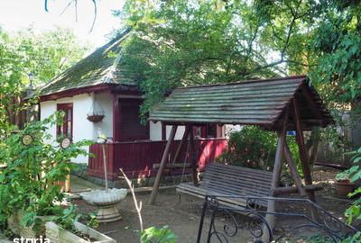 Casă cu 6 camere cu Teren 1800 Mp în Ciolpani - 20