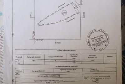 Spațiu comercial, în Paltin - 5