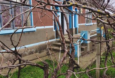 Seimenii Mici  Casa  Individuala 3 Camere Chirpici  S.teren  2100 Mp/42 Acte OK - 11