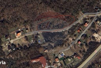 Teren de 1000 mp, în Moldovenești