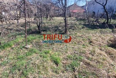 Casă cu 3 camere cu Teren 755 Mp în Central - 5