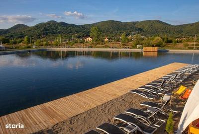 Teren de 40100 mp, în Cicârlău - 4