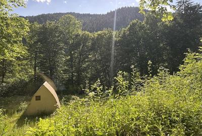 Teren de 3275 mp, în Frumoasa - 4
