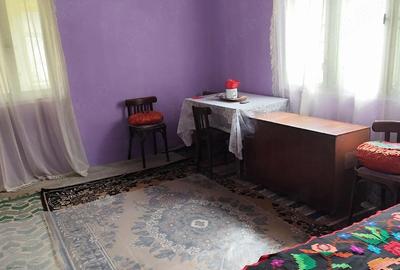 Casă cu Teren 4500 Mp în Ștei