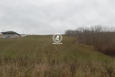 Teren de 5000 mp, în Central - 3