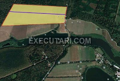 CALDARUSANI MANASTIRE - Teren extravilan - 27 HECTARE