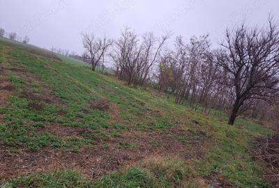 Casă cu 3 camere în Nuntași - 3