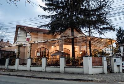 Afacere la cheie, Pensiune 6 camere si restaurant, Alba Iulia - 20