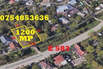 Semicentral, Copou ?icau, teren 1200 mp - 9