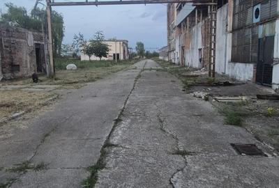 Teren Construcții intravilan de 51803 mp, în Nord - 10