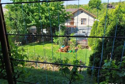 Casă cu 5 camere cu Teren 250 Mp în Mazepa 1 - 4