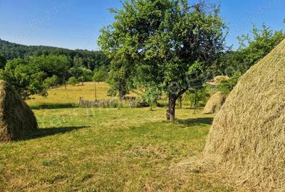 Teren de vanzare in comuna Cicane?ti, sat Bara?ti, jude? Arge?. - 16