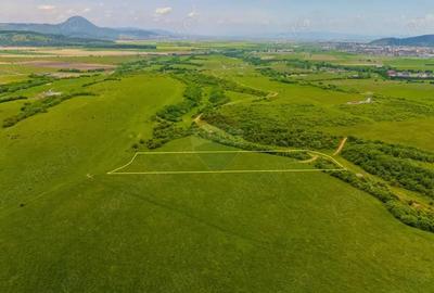 Teren de 10800 mp, în Râșnov - 13