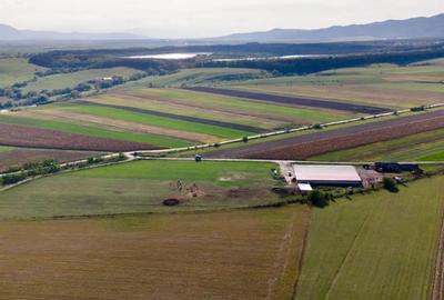 Teren de 18000 mp, în Rotbav - 3