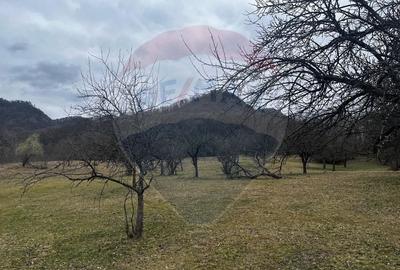 Teren Construcții intravilan de 12458 mp, în Văleni (Meteș) - 2