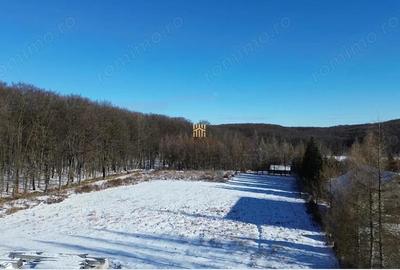 Teren de 9850 mp, în Dragomirna - 8