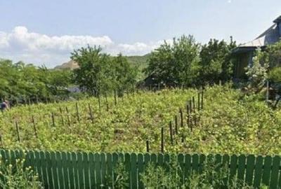 Casa si teren cota parte 3/16, Vladiceni, ID: R2764937 - 2