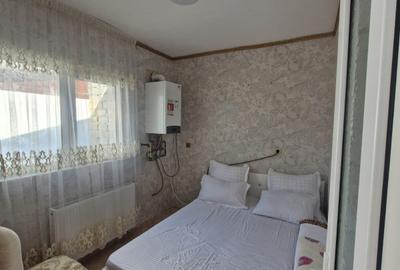Casa individuala Bucurestii Noi - 9