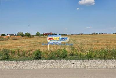 Teren 25395 mp situat in comuna Clinceni aproape de zone Rezidentiale - 13