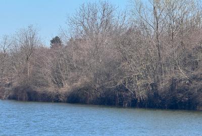 Teren Construcții intravilan de 1800 mp, în Găneasa - 3