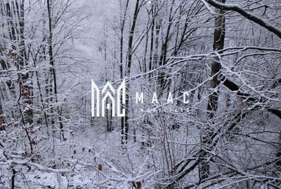 Teren Construcții intravilan de 20000 mp, în Dângești - 33