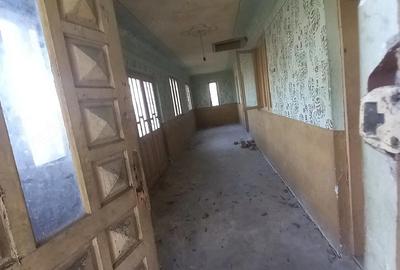 Casă cu 3 camere cu Teren 7300 Mp în Băleasa - 1