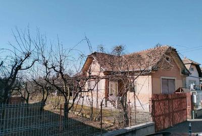 Casă cu 3 camere în Viișoara - 6